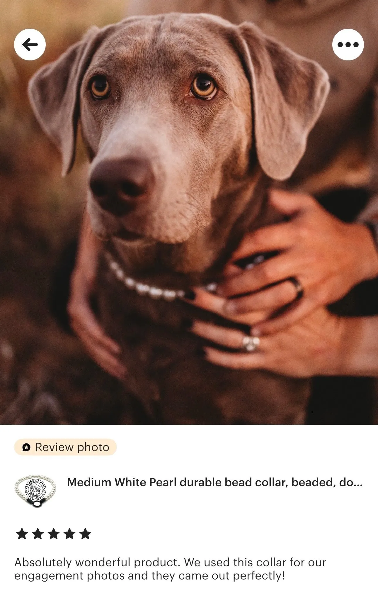Mini White Pearl Single Strand Acrylic Bead Collar