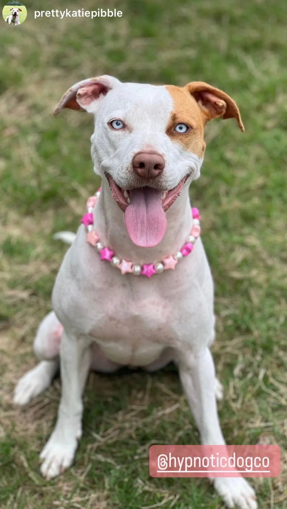 Pink Stars Bead Collar