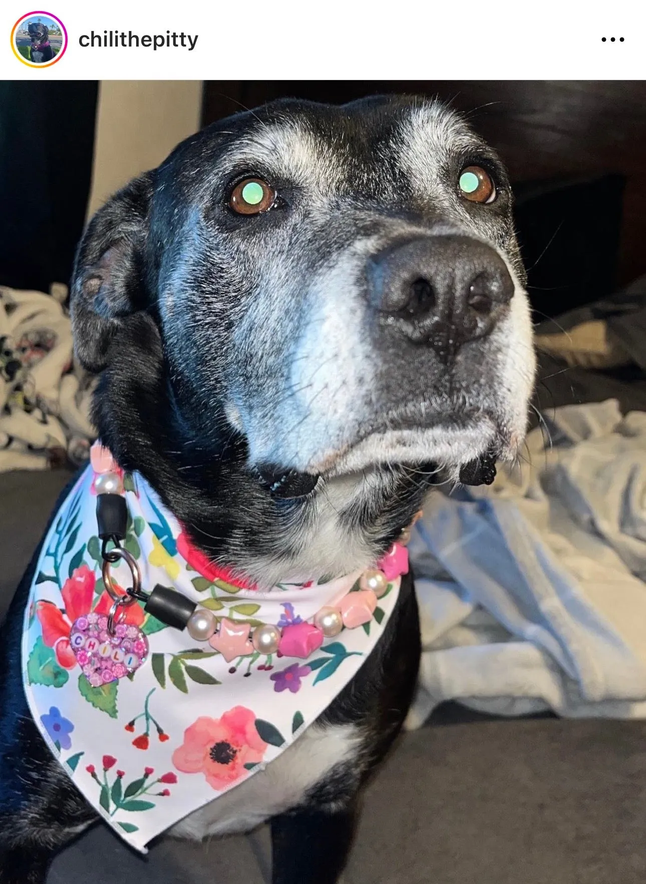 Pink Stars Bead Collar
