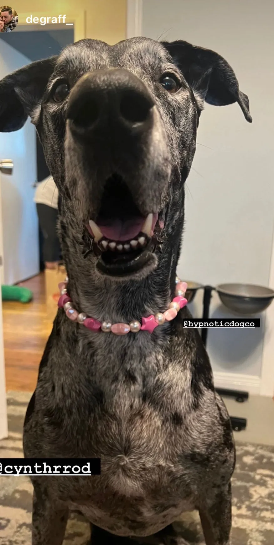 Pink Stars Bead Collar