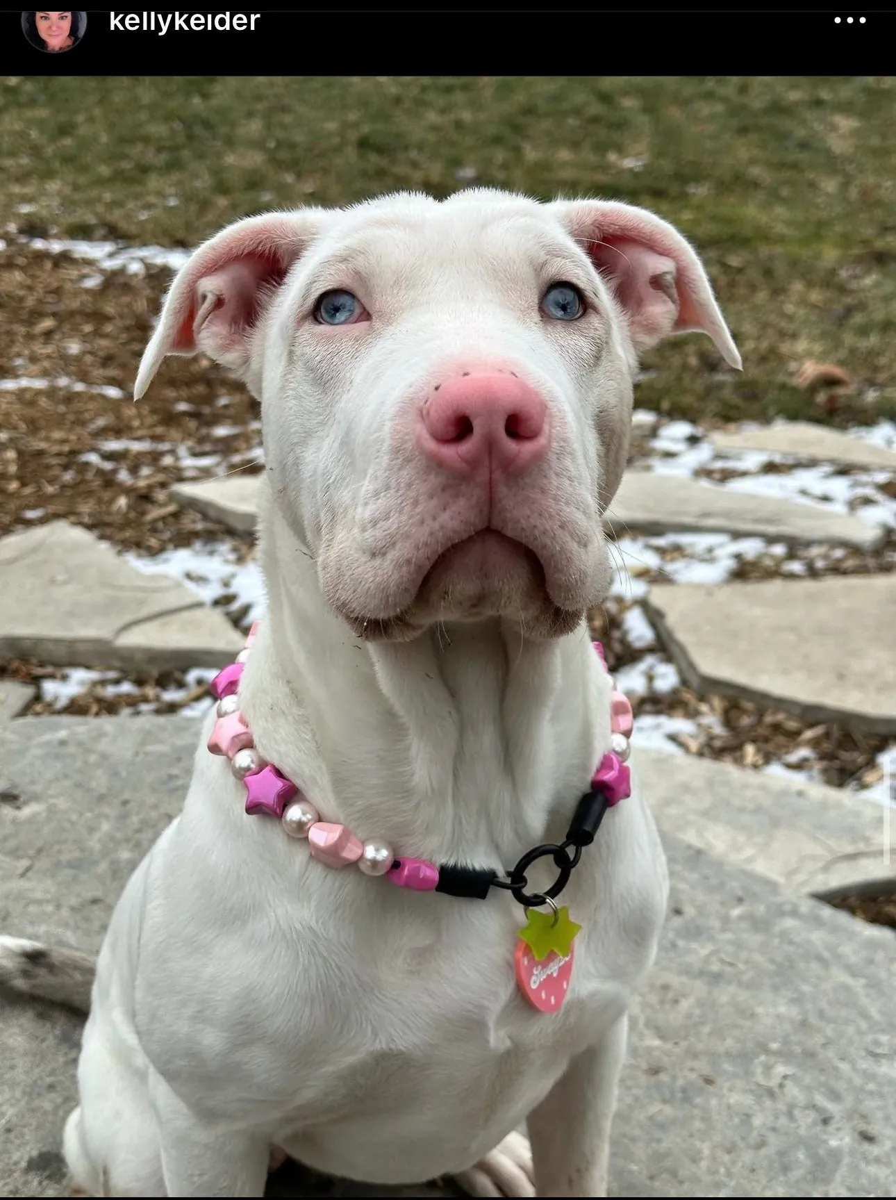 Pink Stars Bead Collar