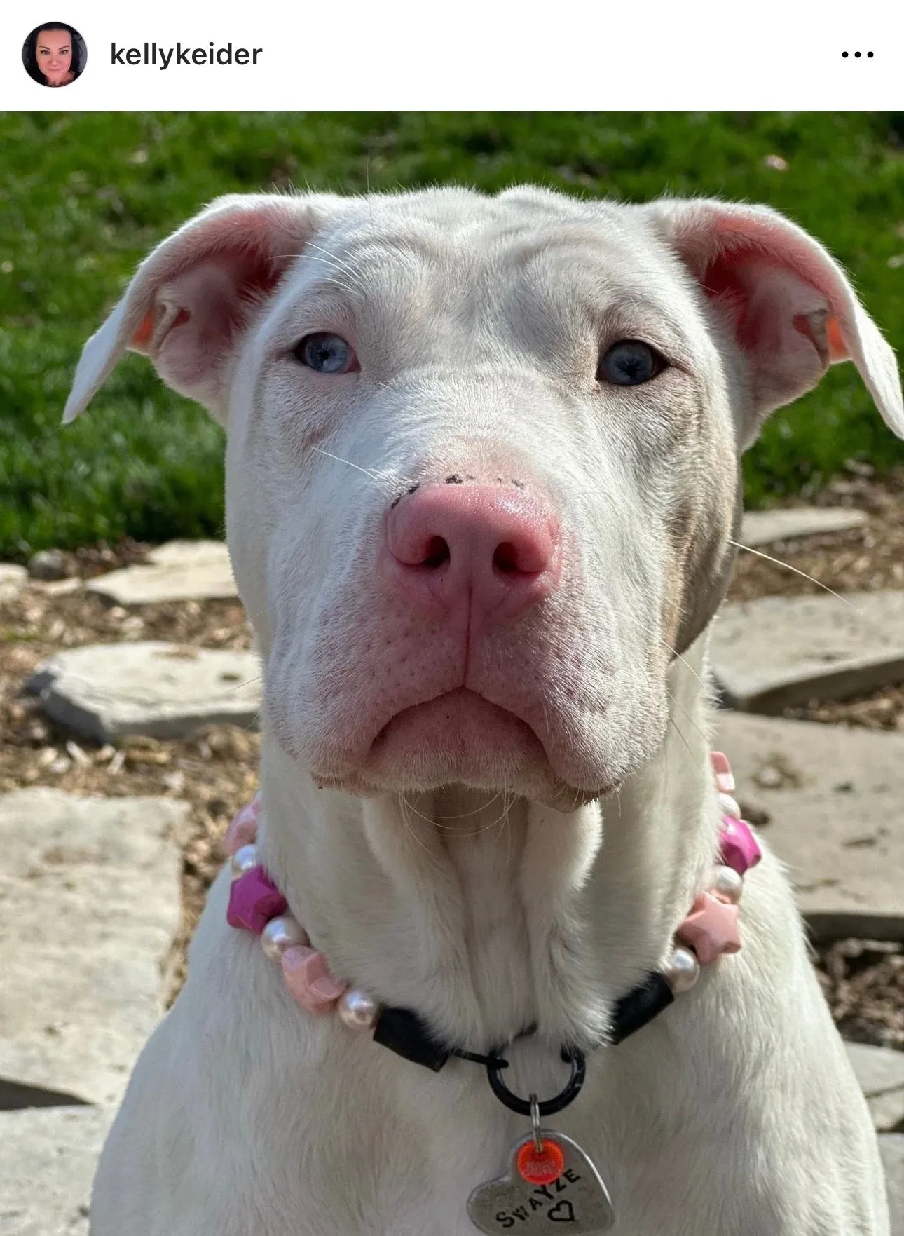 Pink Stars Bead Collar