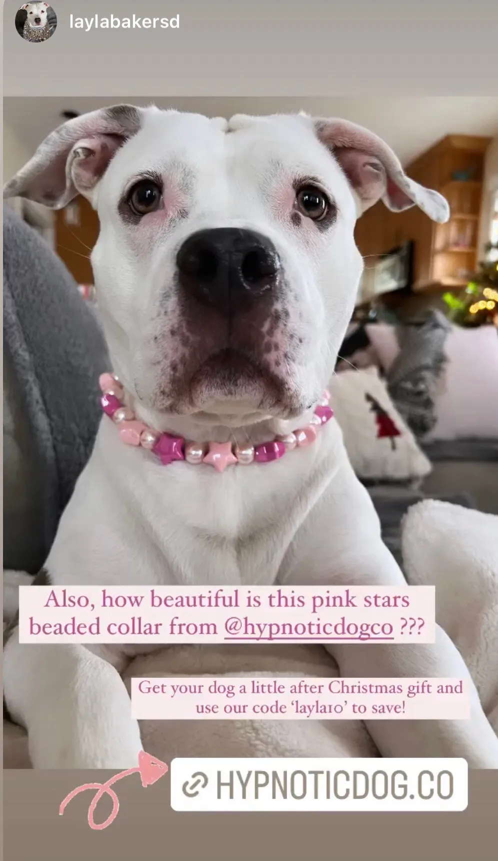 Pink Stars Bead Collar