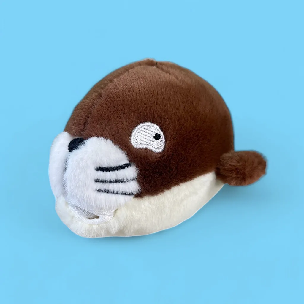Seal Boi - 2 Toys In 1