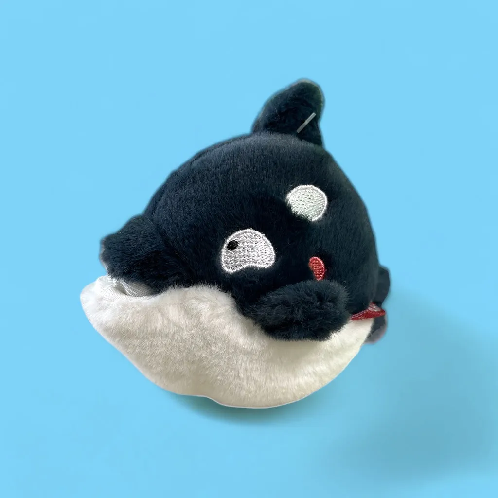 Shark Boi-  2 Toys In 1
