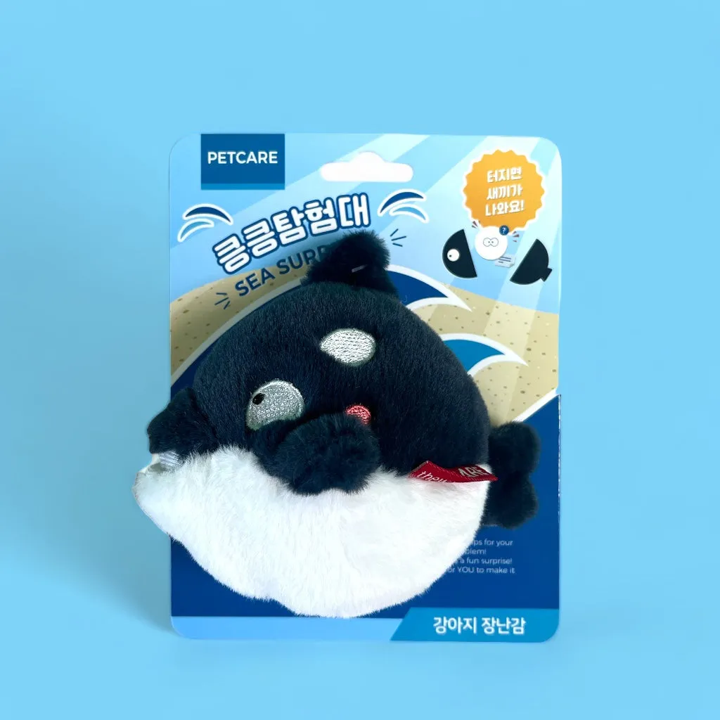 Shark Boi-  2 Toys In 1