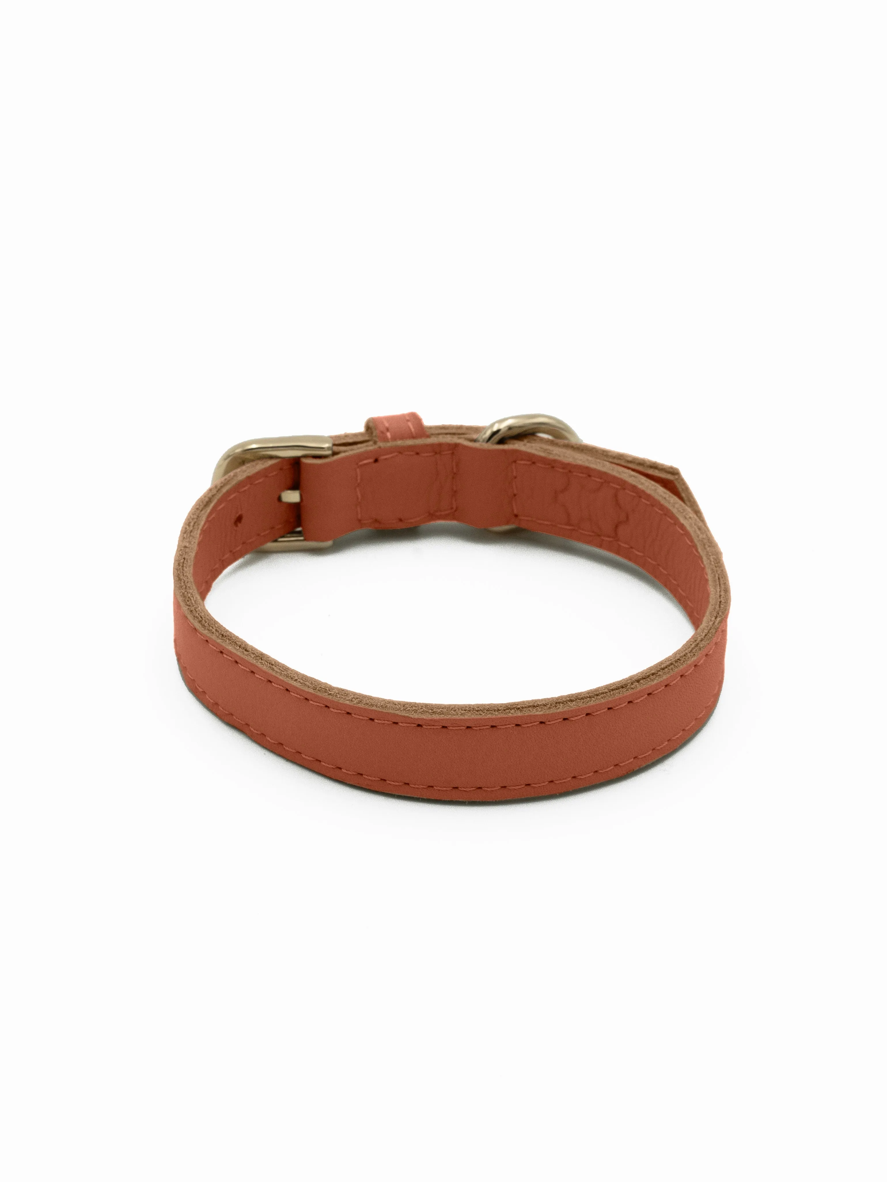 The Chilli Tag Collar