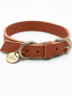 The Chilli Tag Collar