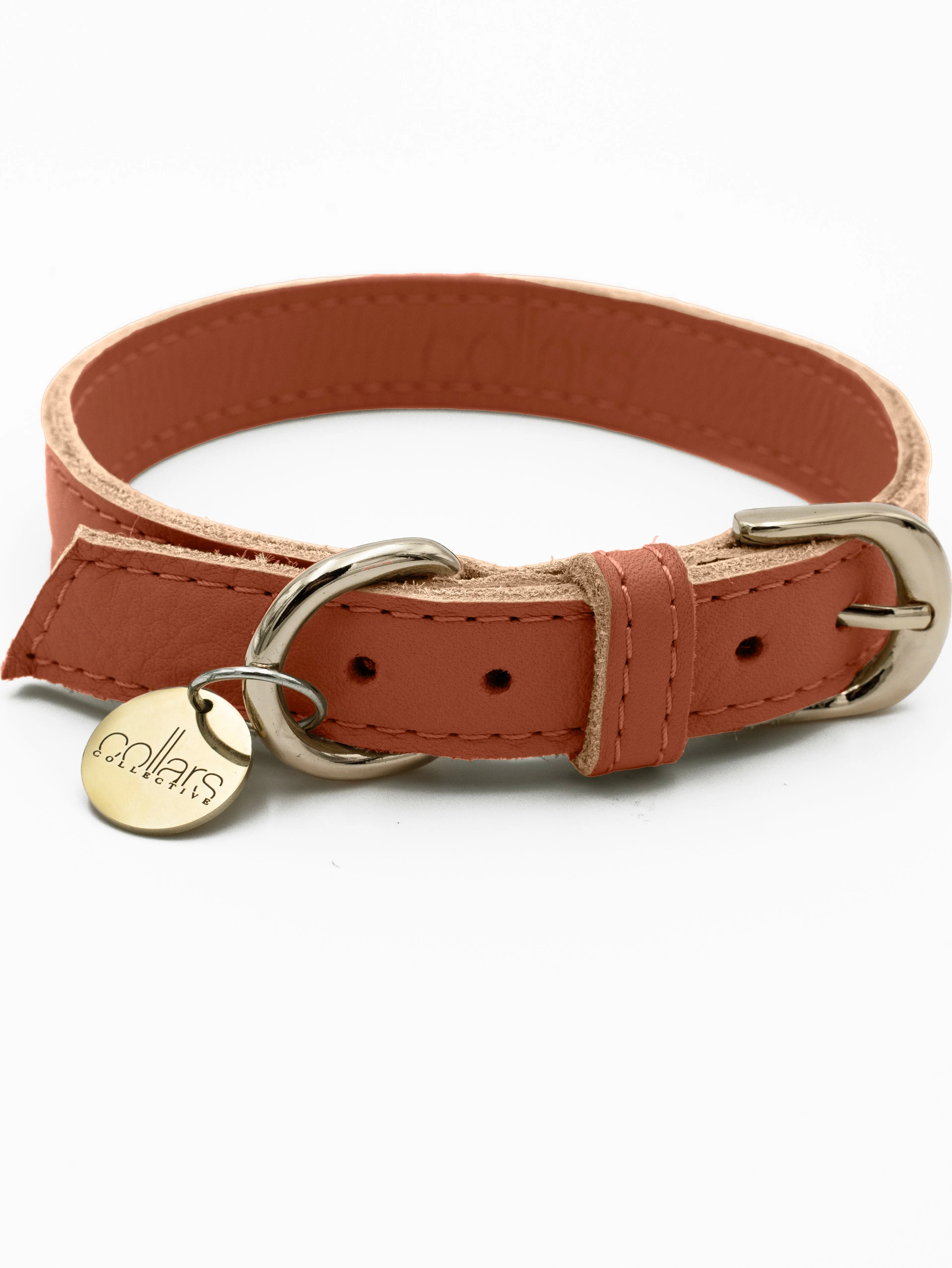 The Chilli Tag Collar