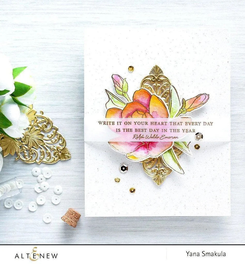 Ultimate Sentiments Bundle